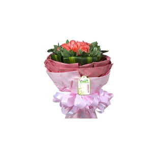 维纳斯鲜花 19枝粉玫瑰，献上情人节甜蜜礼赞