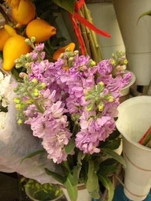 为什么鲜花是最好的礼物——礼品花卉销售的魅力解析