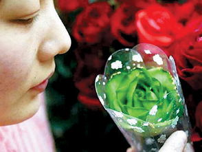 情人节玫瑰与多彩花卉礼品销售洞察