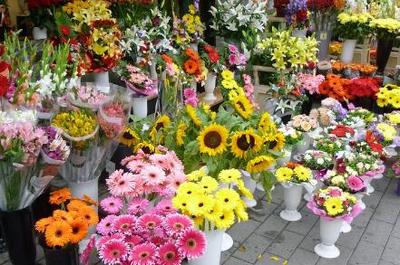 2018-2019年适合创业的20个好项目推荐 礼品花卉销售引领潮流，年青人抓住机遇！