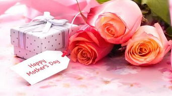 从情人节花卉消费看礼品花卉市场的现状与趋势