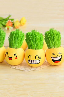 绿意与温馨交织 打造您的幸福之家