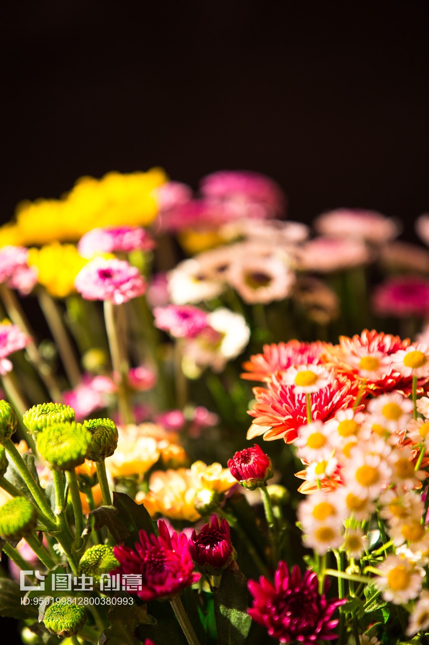 昆明斗南花市 鲜花与礼品花卉的销售盛景